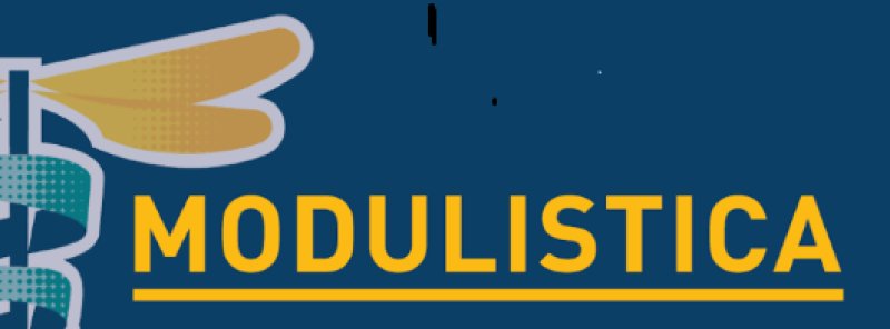 MODULISTICA 